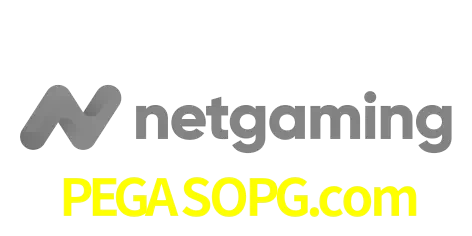 NetGaming